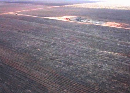 ANGÉLICA: Incêndio em canavial que atingiu áreas protegidas gera multa de R$ 4,8 milhões e será investigado pelo MPMS