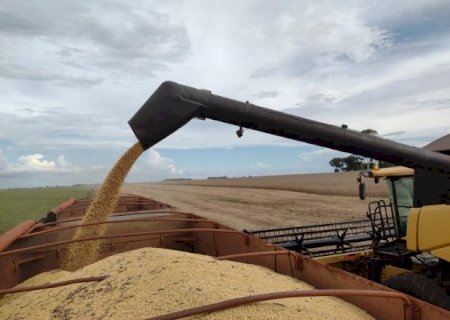 Exporta&ccedil;&atilde;o de soja cresce 41% em MS e movimenta US$ 385 milh&otilde;es