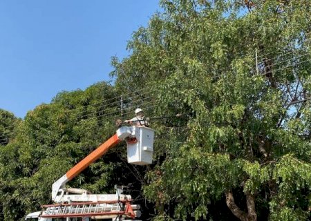Angélica: Prefeitura e Energisa firmam parceria para reforçar segurança da rede elétrica e prevenir acidentes